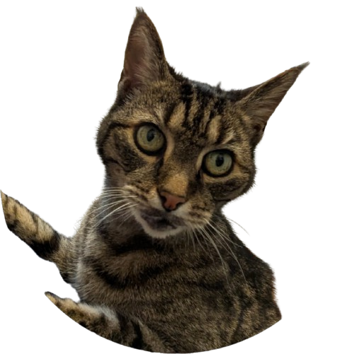 Mouse Profile Picture